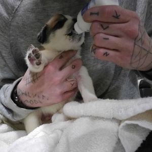 Meet your Posher, Morrison